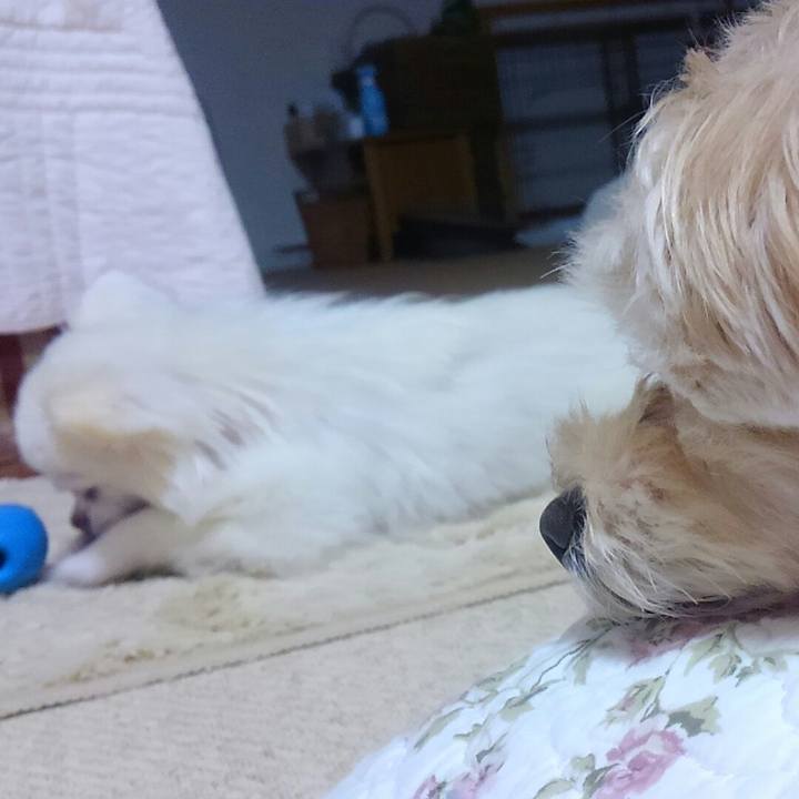 932c59a7 7e58 494a b191 08ce55c63e34