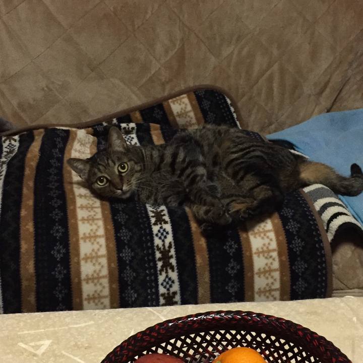 932de0f6 6f02 4624 ae5a a3c822ba2282