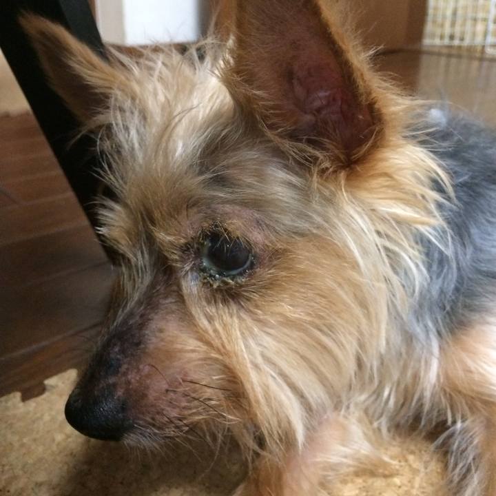 932e1aad f2af 4837 a3a6 7f233e624c38