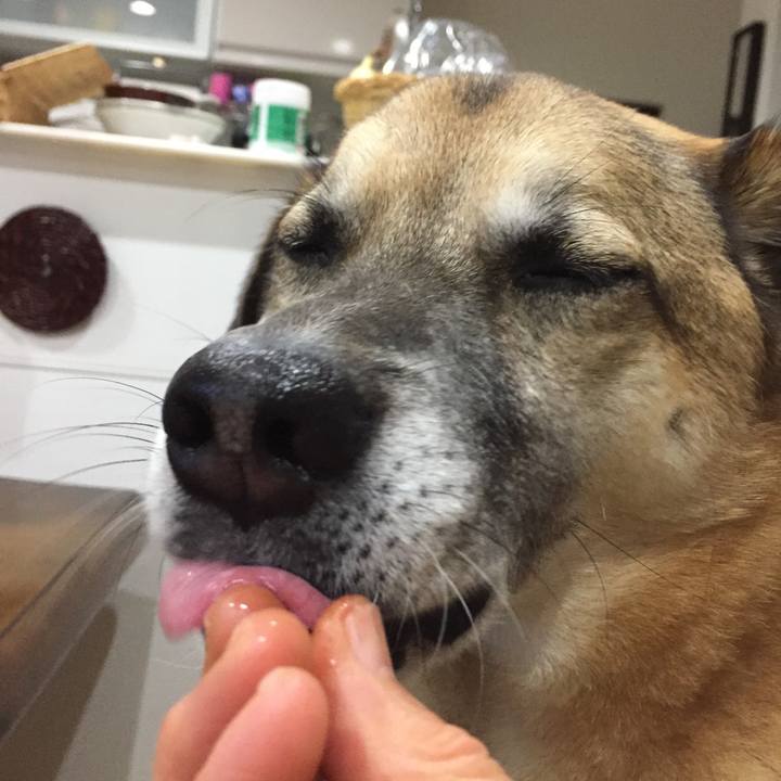 932e3236 1224 42b3 ad01 75867b8adcdf