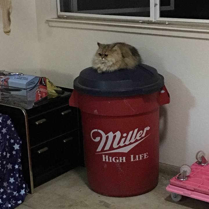 932e5f85 85fa 44f3 8ae4 4b5043802fea