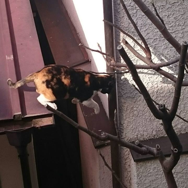 932e7332 4cd0 4fac 811c 0e711031ded1