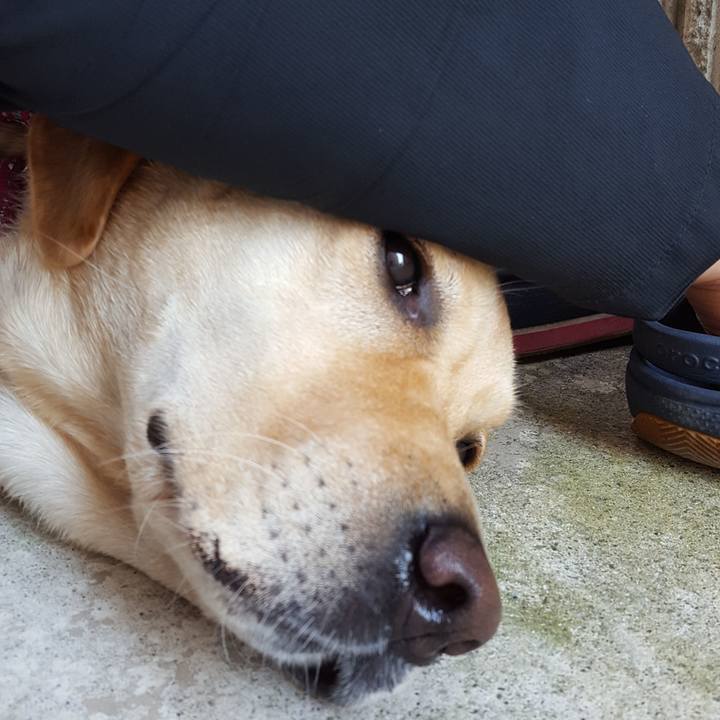 932f1fed f7de 426c b40f 40f006784b2a