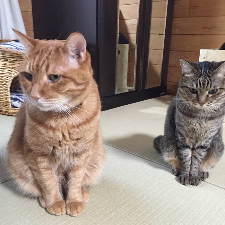 932f3e88 da47 4f44 ac60 dc4cfbc802c3