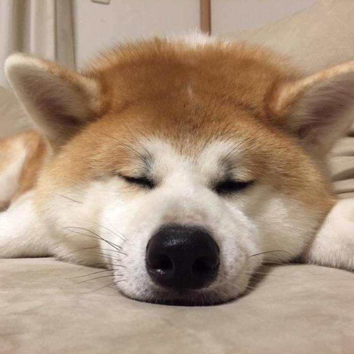 932f4623 03f9 46ea 8824 9e8adf5d6c5e