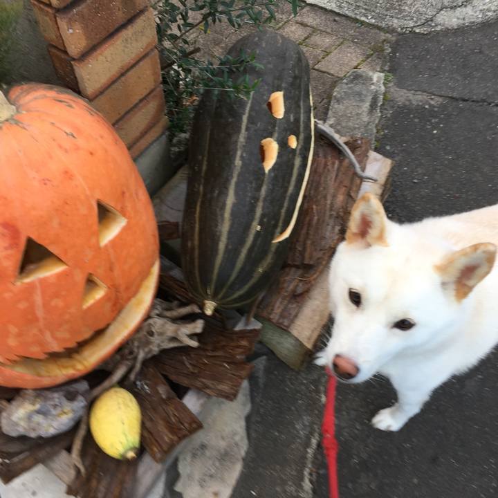 932f7063 ee0a 467c 9a07 58252f732a46