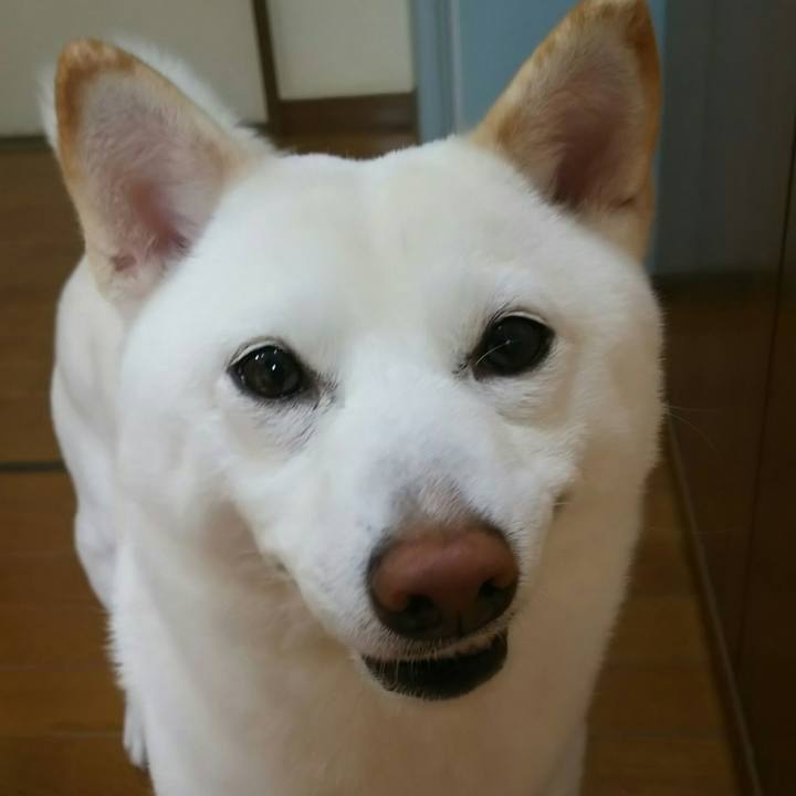 932f9109 dced 4f72 b82b e6e39f4e37e3