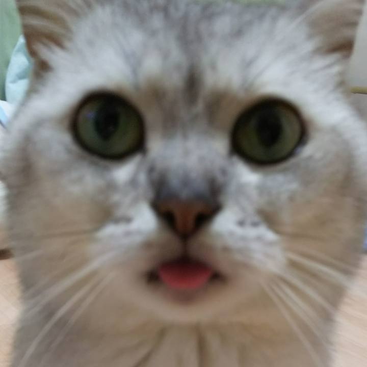 932fa7cc 1593 477f 939b 64dff6fa821c