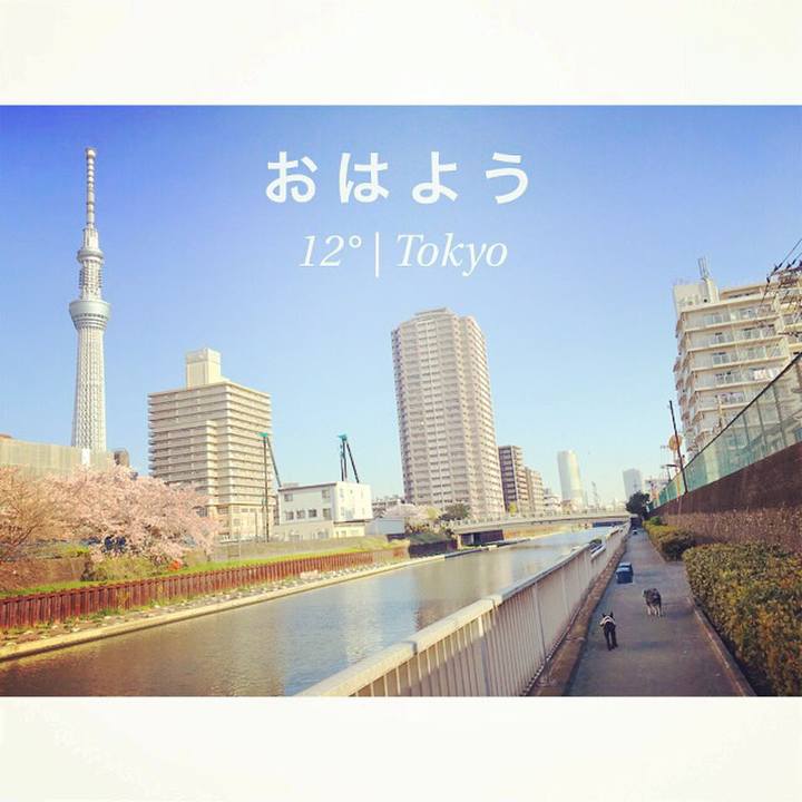 932fb7ce dc7d 4a4a 9f56 89499d73c1c8