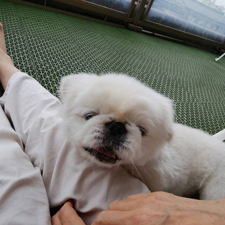 933017df ef51 46ec 959b 0dfd7fec6d8f