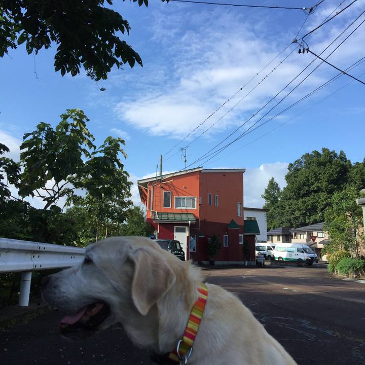 93307524 0feb 41c7 ac91 bb86036421ce