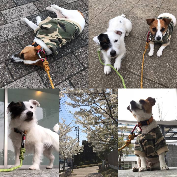 93308627 afdd 4240 bc38 39a66550f3cc