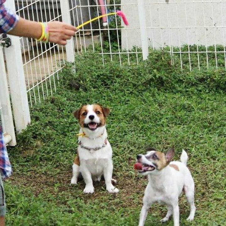 9331534a 8e01 4728 aa2d 0e8026378f00