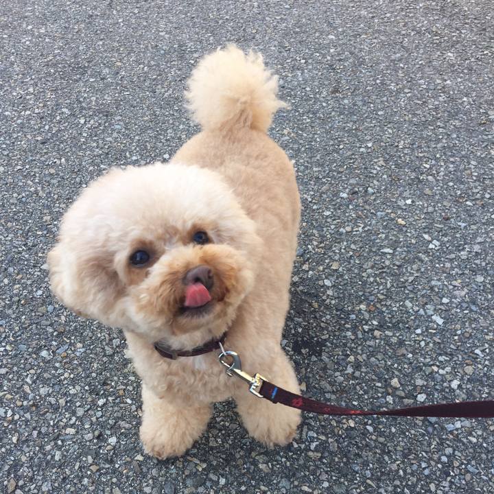 93317eae 165d 42a8 925f 21851974675f