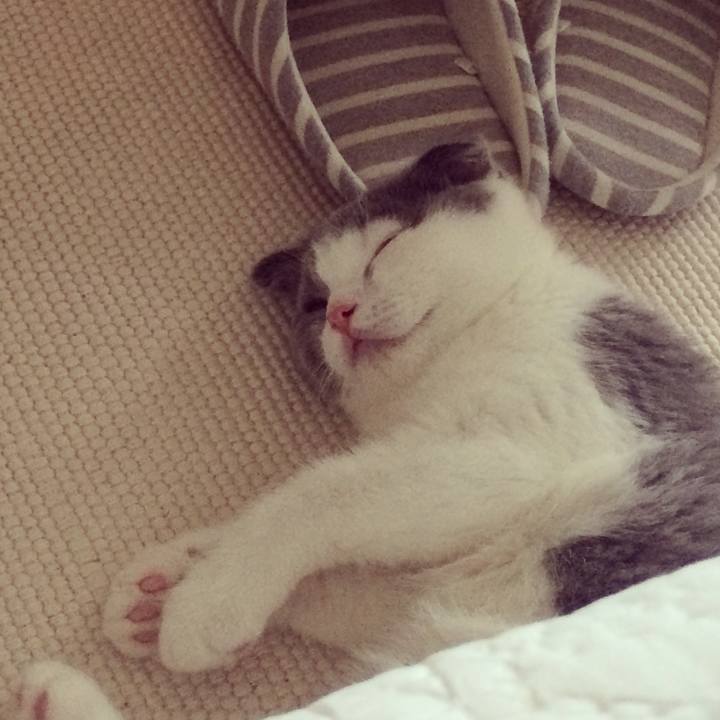 9331aa0f e4fb 45c9 a248 3e271ad6a619