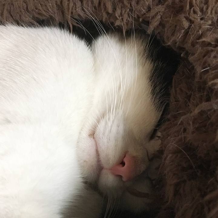 9331b3b8 9a6c 481e b1f9 076e013143e1