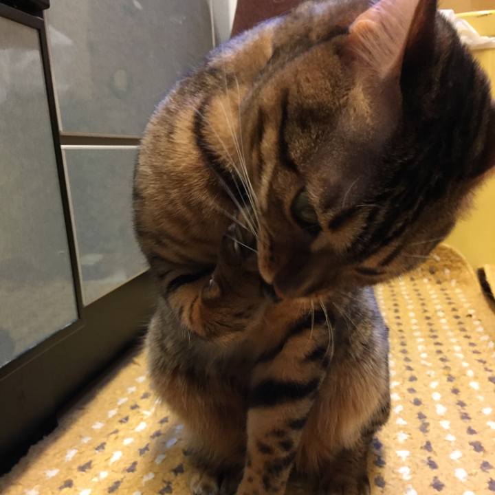 9331bbd7 1563 4a2d 9b9c 6fc4e054edda