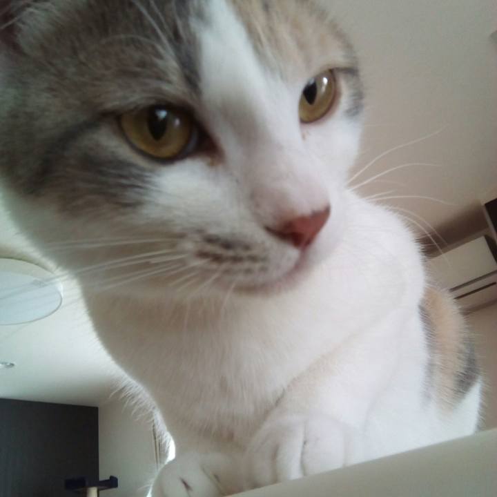 9331df4e 68cb 4417 9f57 32b7dd073ea4