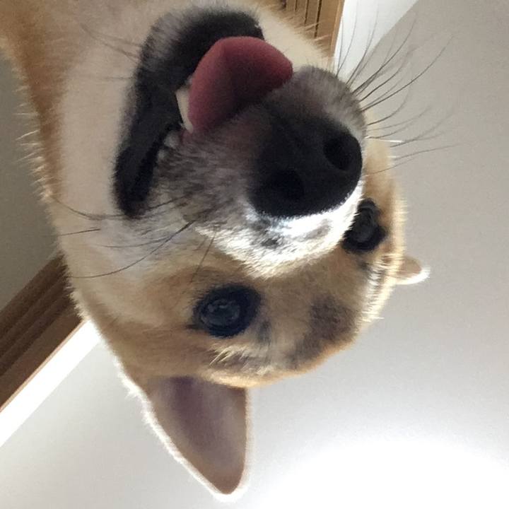 93329108 b97e 4906 9e8c 05874aab4690