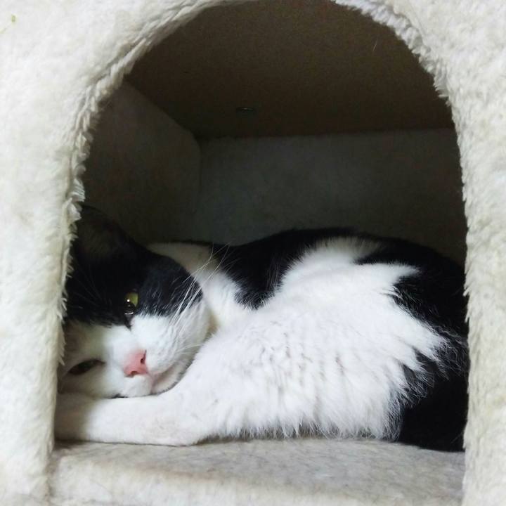 93340469 f857 46af 93f4 1672561ecdc6