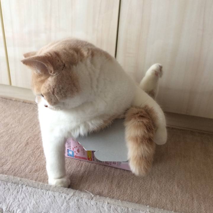 933406a5 27fa 4f8f 9abe 8929bf99079c