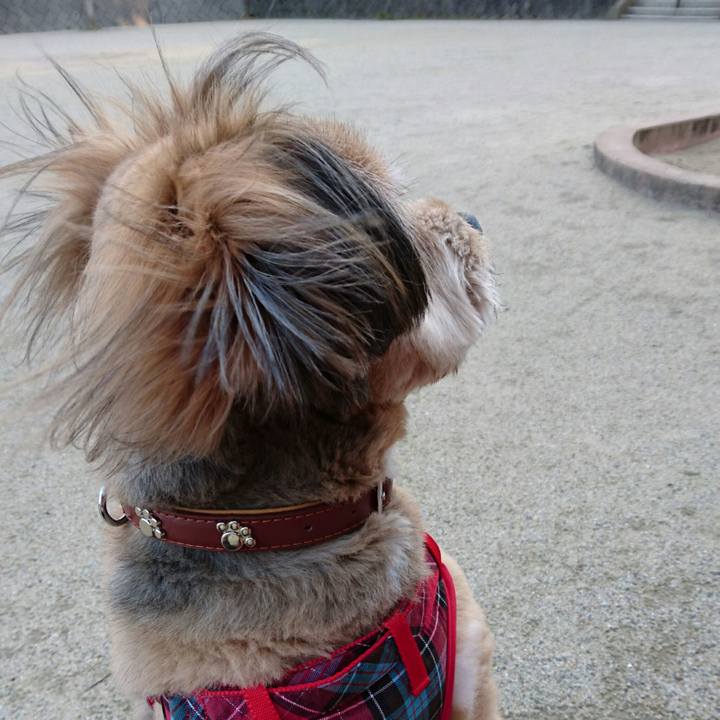 9334328e e329 4d4d 8d0e 50d8ce877fa7