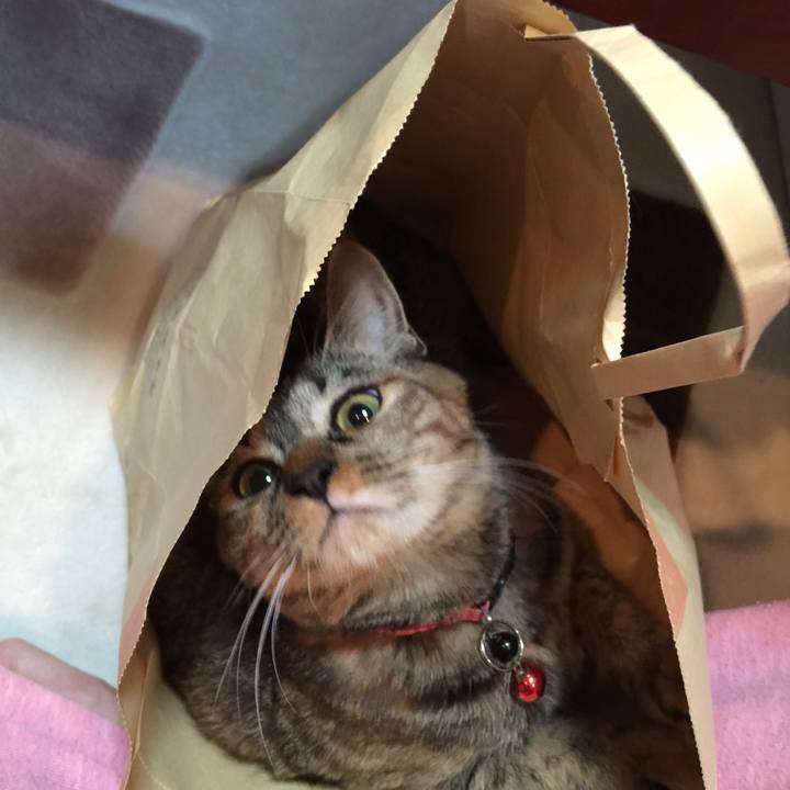 9335834b d41d 41d0 b46a 399163a90b8c