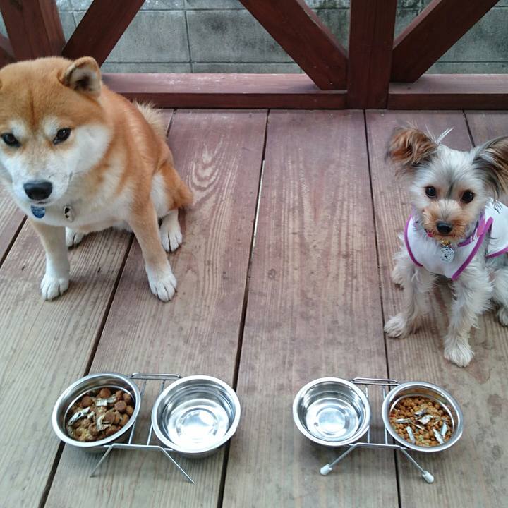 933657b6 4da1 4f29 bcf2 5ec511a251d6