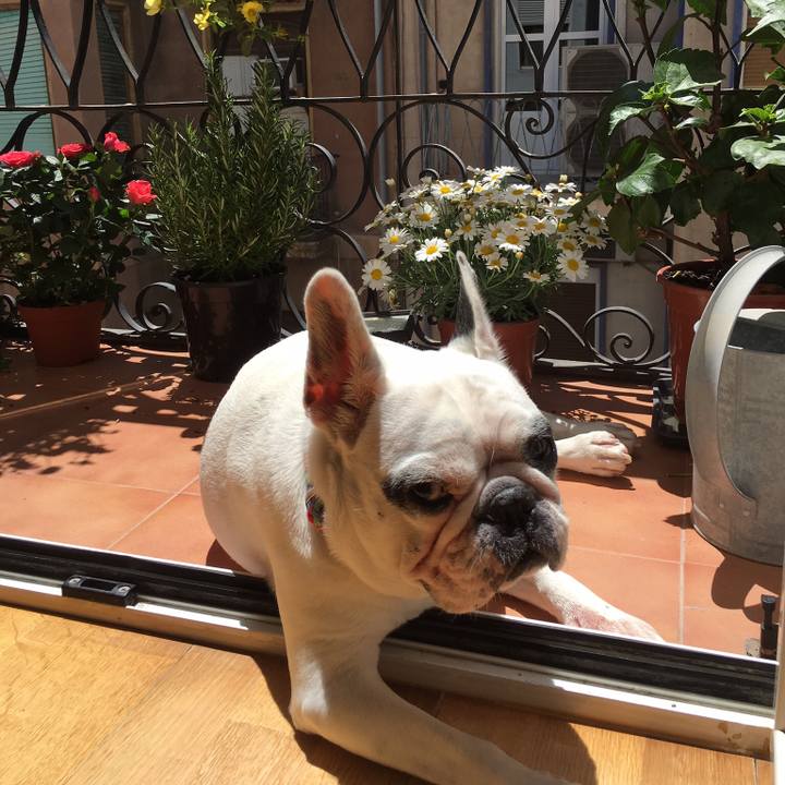 9336fc52 cce3 46b3 9715 b92aaa181064