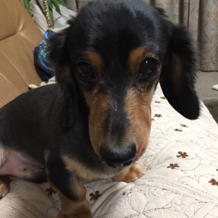 93372bf3 e7a9 4fca 96ff 71515a6b396a