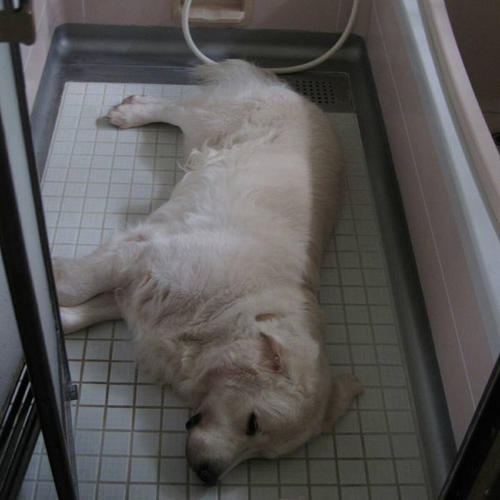 93376e1d 8a3c 4ec6 8c47 293dcb5f0338