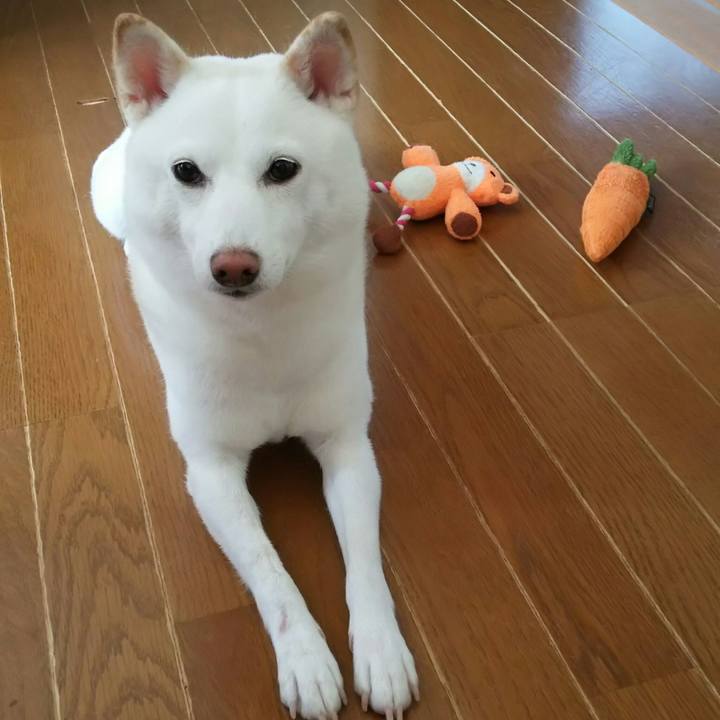 9337c17a 7d93 4617 a395 194e8f98b3c8