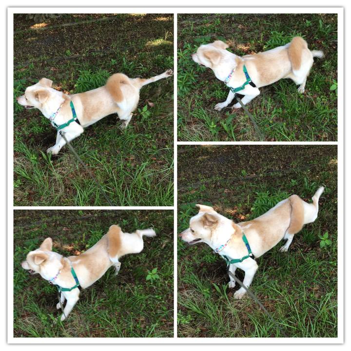 93388bb7 9165 4171 a308 d9fb8c933498