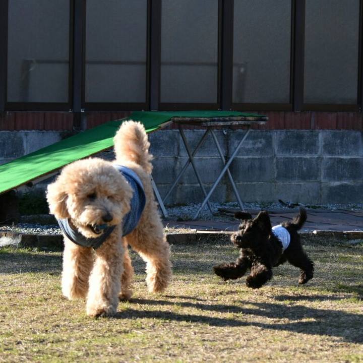 9339a4af 7ed1 4086 9afa 57c5759c97ac