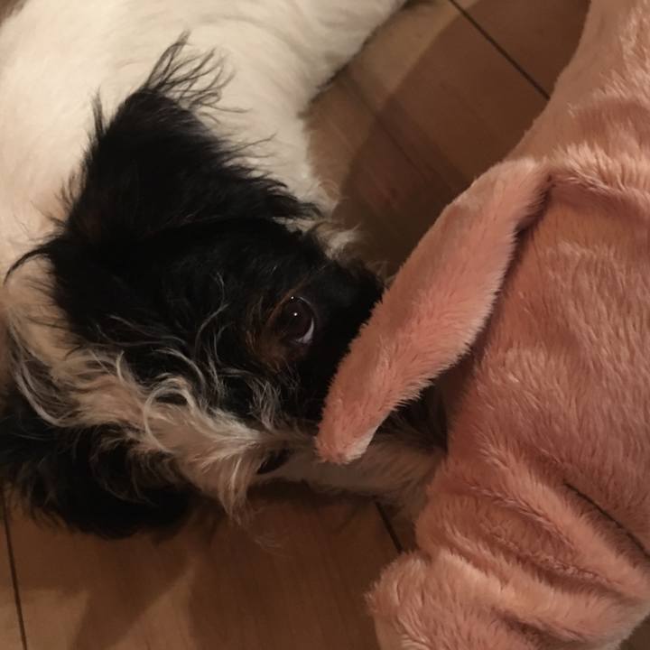 9339ede5 c2ee 4d88 b46a 8d331a7140d6