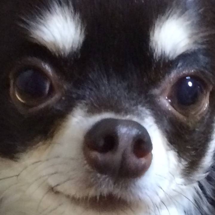 933a37c3 4b80 4393 a768 927de1d1fe5c