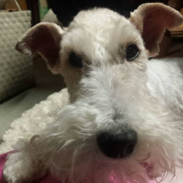 933b443d 086b 4d88 8d60 5013e3e2413d