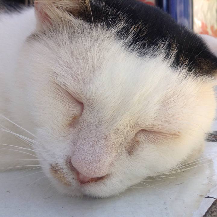 933bb428 6890 4571 a1bf 4b0fc1379f9a