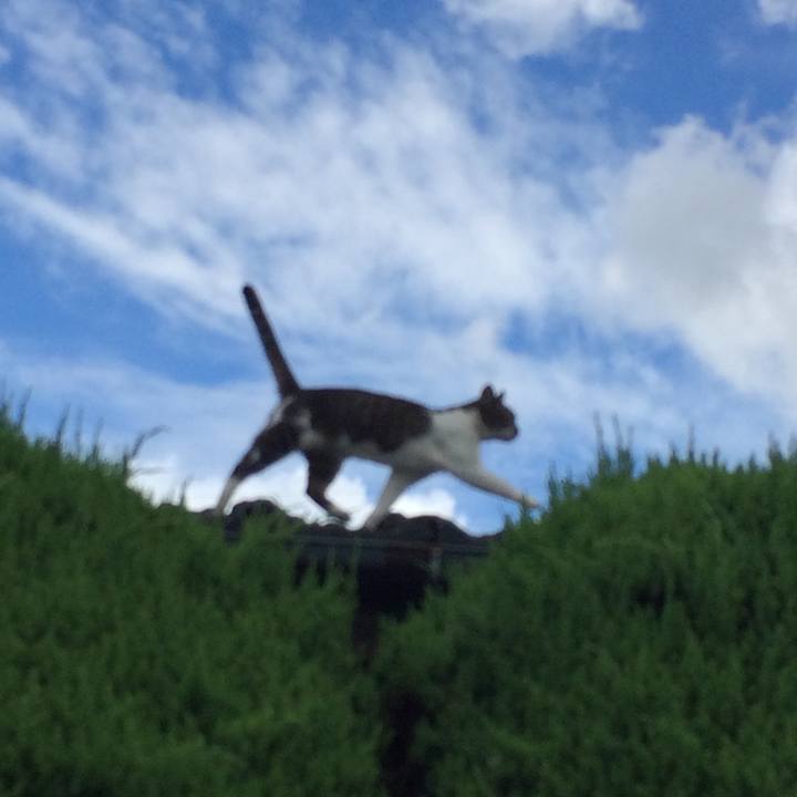 933c09ac 752f 4d26 8f72 e77897d7f068