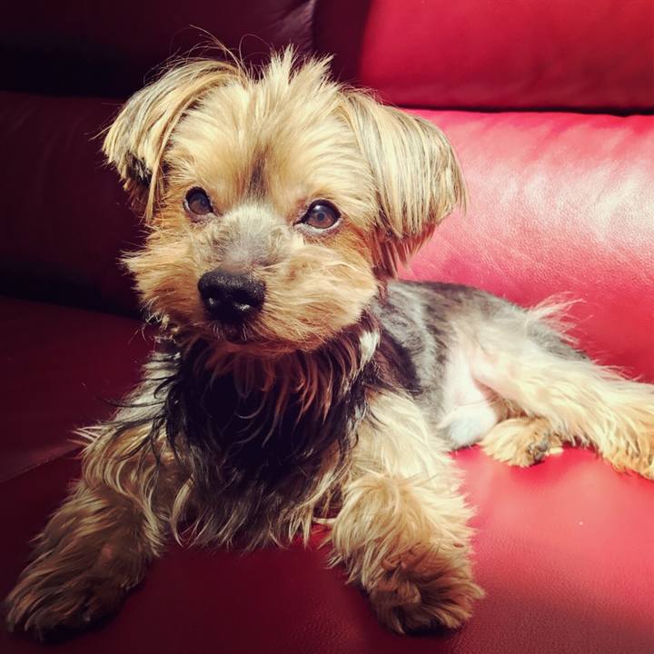 933c7b41 e8eb 4bf6 b46c 8f62993a01e5