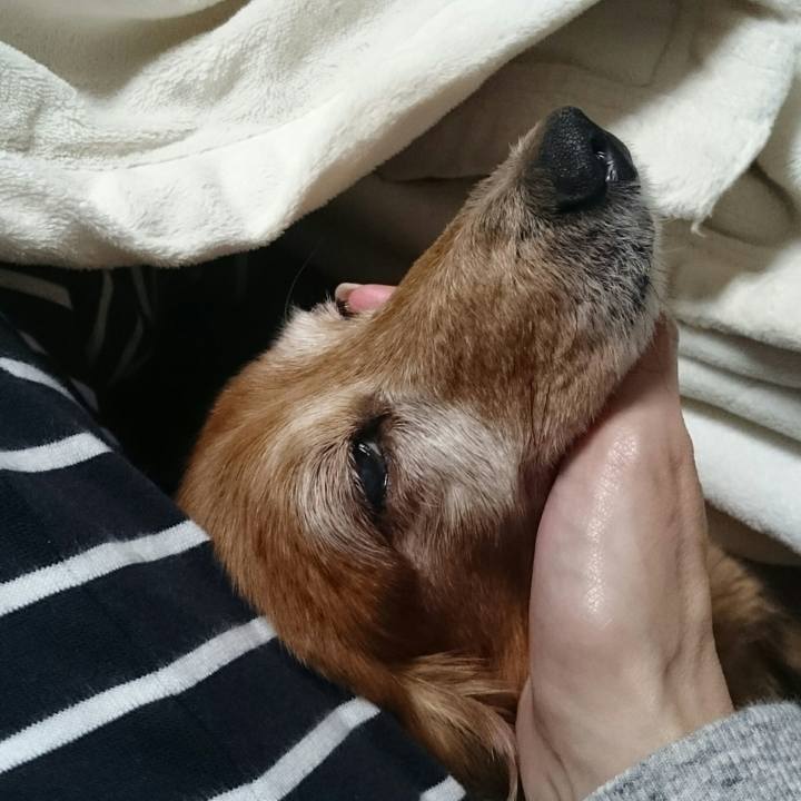 933caeaa ef9c 4b37 93d9 e88228b215d9