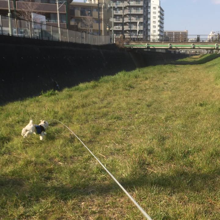 933cfb0d f5cf 4f0d 841e 8e352bc7c86a