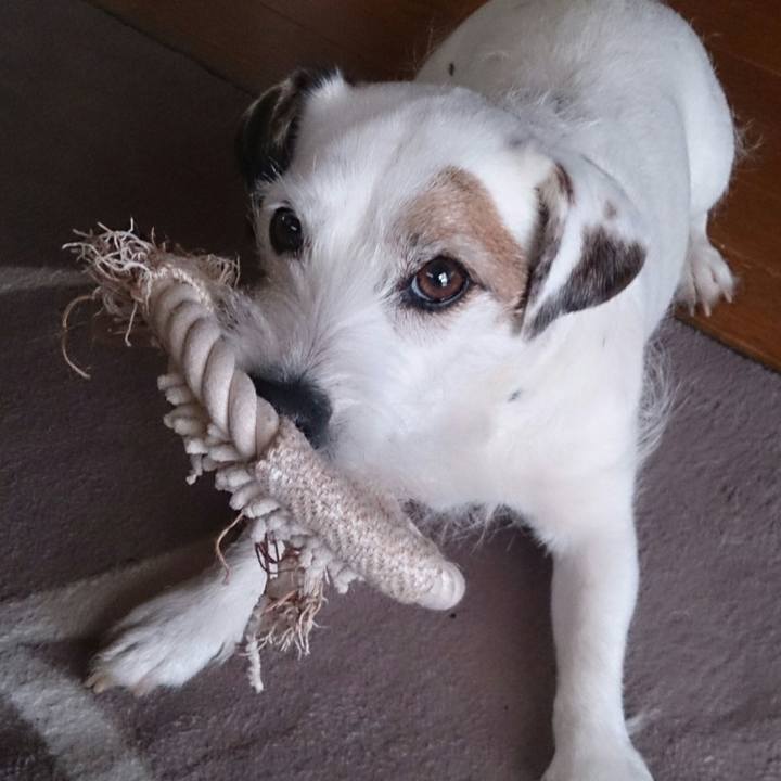 933d1965 4452 411d 8abd edf158f8aea3