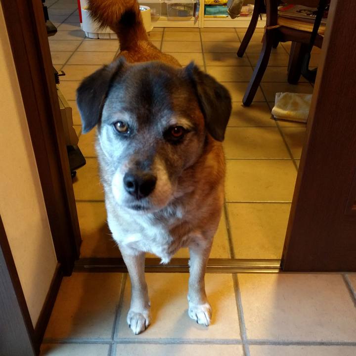 933d6907 ed40 4d21 8c82 376bae5dc8f7