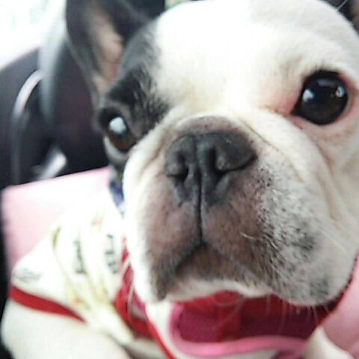 933d808d 4e2a 4a09 b99d 780bbafa0432