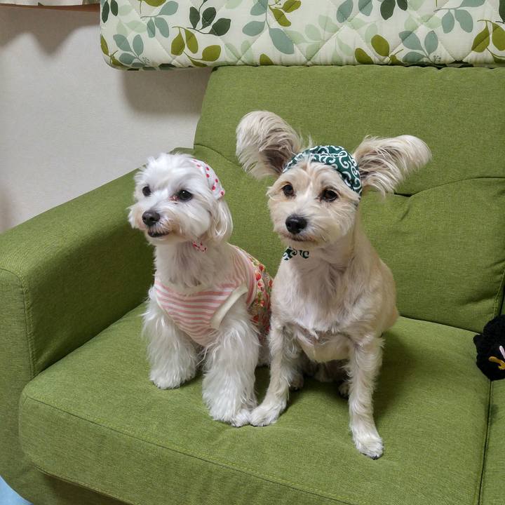 933d9e8d ee5b 4265 811d a47b37fd90c3