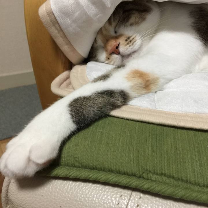 933dcb91 1a76 4e2e a3d5 b85226fc2b43