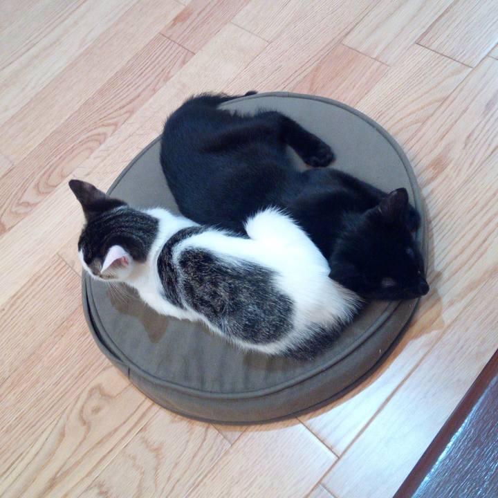 933eb080 5b2f 4332 8491 6947d7bd460c