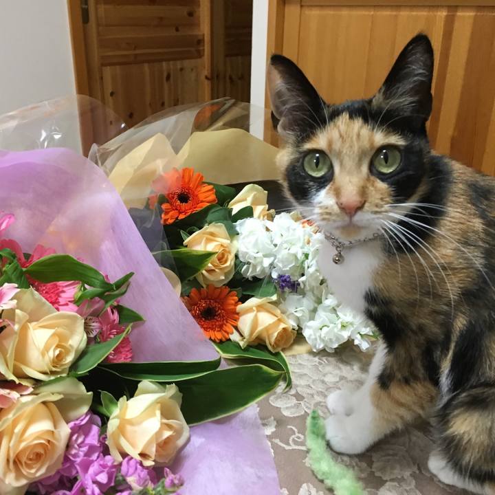 933ed075 caec 44b9 88d7 b1f1ee8ab994