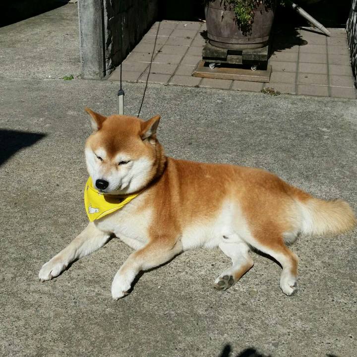 933f25db 01aa 4d17 bf7c 73df0f21e764